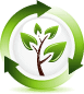 renew logo